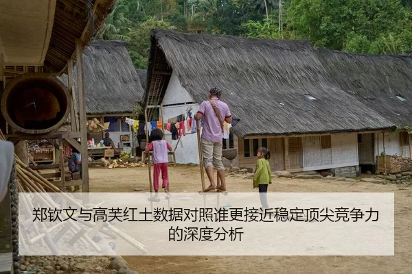 郑钦文与高芙红土数据对照谁更接近稳定顶尖竞争力的深度分析（bandaotiyu）