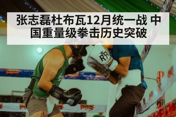 boxing match | bandaotiyu