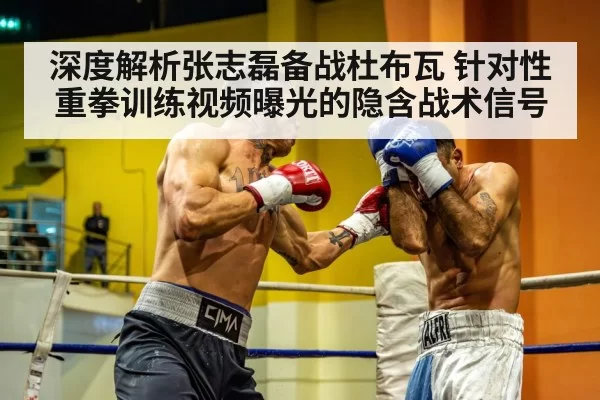 heavyweight boxer training | bandaotiyu